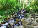 photo thumbnail #5