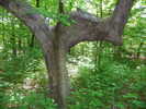 photo thumbnail #12
