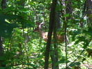 photo thumbnail #15