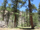 photo thumbnail #3