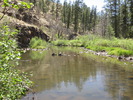 photo thumbnail #8