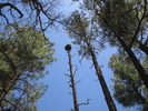photo thumbnail #14