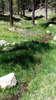 photo thumbnail #15