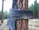 photo thumbnail #13
