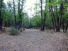 photo thumbnail #14