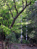 photo thumbnail #15