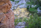 photo thumbnail #11