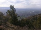 photo thumbnail #1