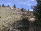 photo thumbnail #6