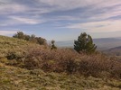 photo thumbnail #14
