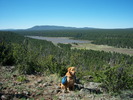 photo thumbnail #2