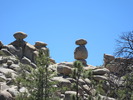 photo thumbnail #10