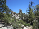photo thumbnail #11