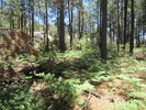 photo thumbnail #15