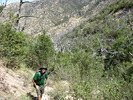 photo thumbnail #9