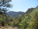 photo thumbnail #10