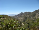 photo thumbnail #11