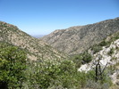 photo thumbnail #12