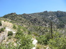 photo thumbnail #13