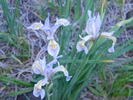 photo thumbnail #4