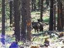 photo thumbnail #6