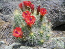 photo thumbnail #11