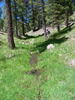 photo thumbnail #12