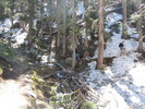 photo thumbnail #9
