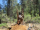 photo thumbnail #5
