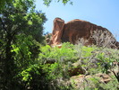 photo thumbnail #10