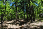 photo thumbnail #9