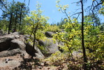 photo thumbnail #10