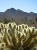 photo thumbnail #4