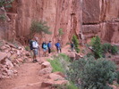 photo thumbnail #6