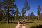 photo thumbnail #2