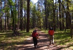 photo thumbnail #3