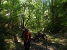 photo thumbnail #4