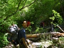 photo thumbnail #7