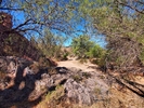 photo thumbnail #12