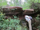 photo thumbnail #3