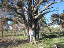 photo thumbnail #4