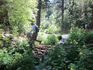 photo thumbnail #6