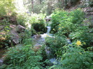 photo thumbnail #8
