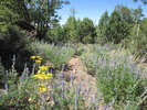 photo thumbnail #10