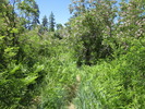 photo thumbnail #11