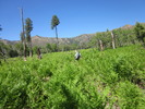 photo thumbnail #15
