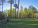 photo thumbnail #4