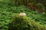 photo thumbnail #12