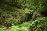 photo thumbnail #14