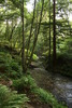photo thumbnail #15